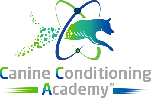 Canine Conditioning: Quick Canine Workout » Canine Conditioning Coach