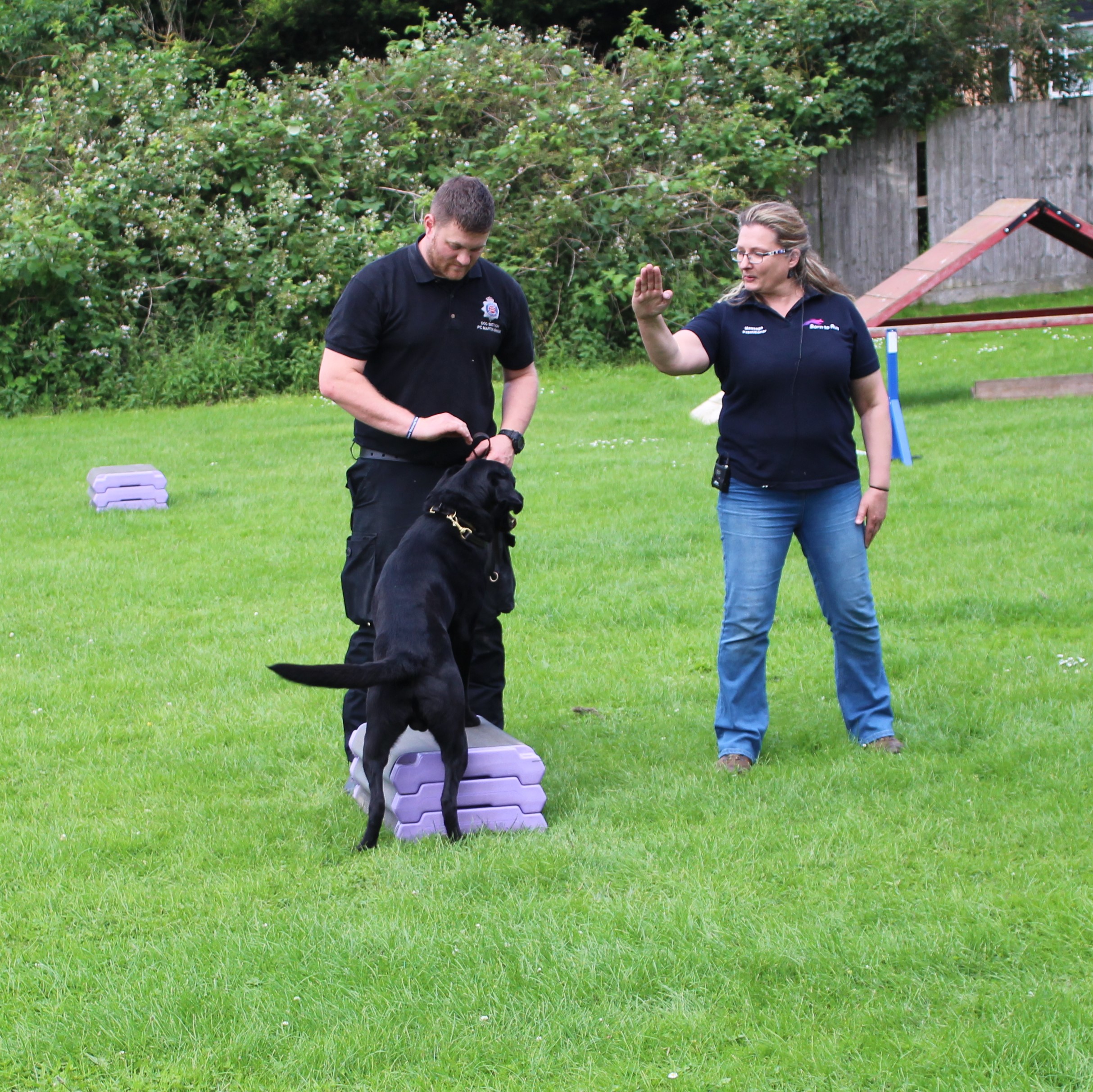 Angela Day Core conditioning Essex Police dogs